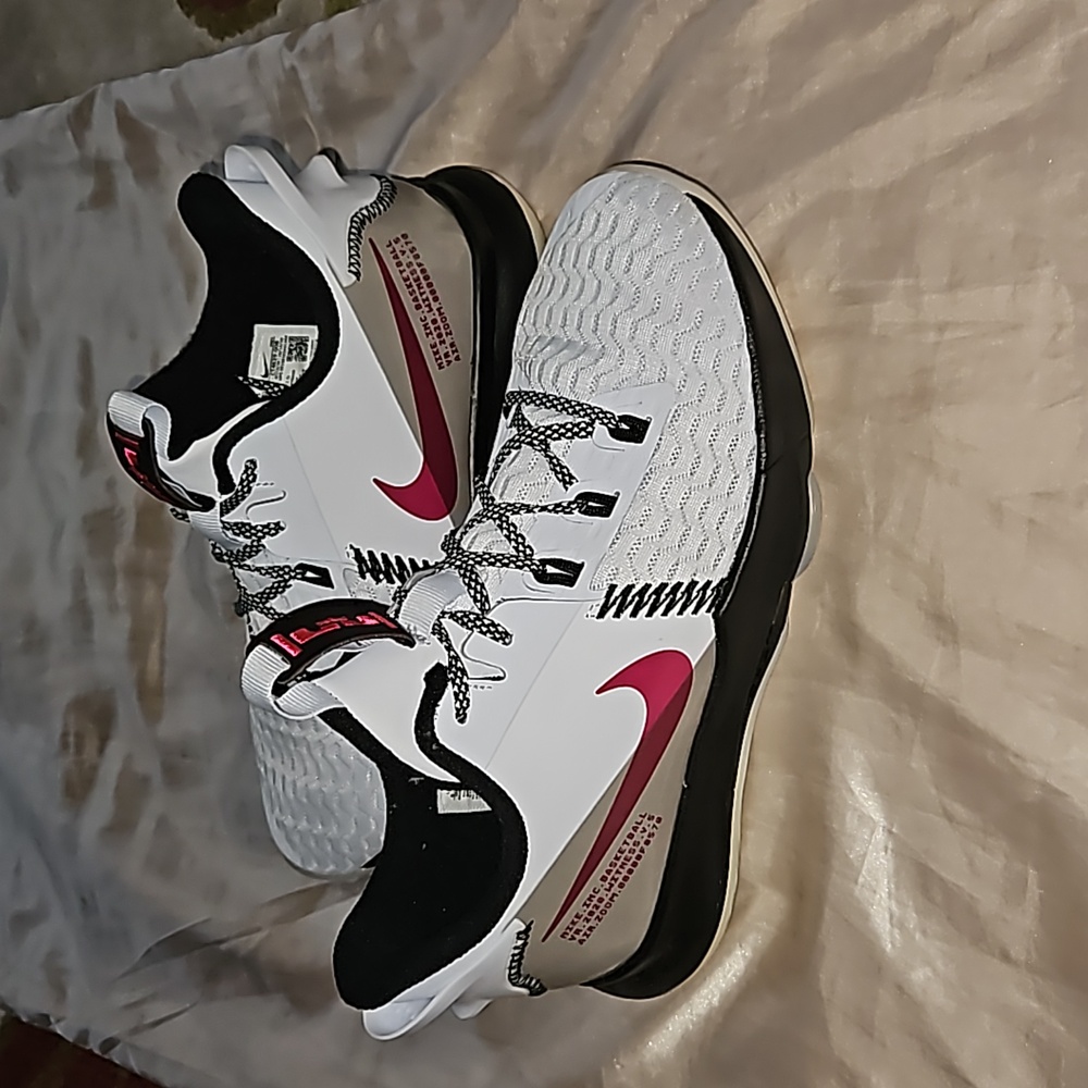 Nike LeBron Witness